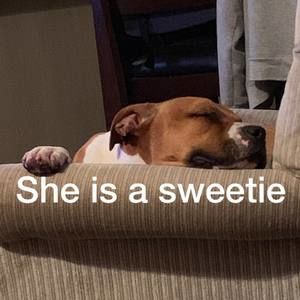 Meet your Posher, Suzanne